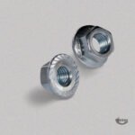 Nuts, Bolts & Washers manufacturer in India 5 Flange Nuts