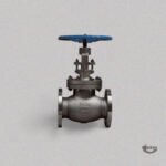 Valve Dealer and Supplier in India 10 Globe Valve