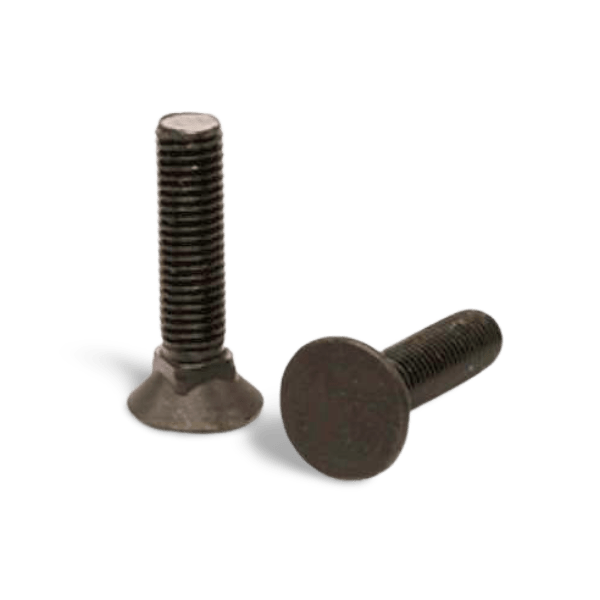 transparent bg shadow designify 2021 12 04T164830.916