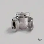 Valve Dealer and Supplier in India 8 Check Valve