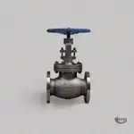 Valve Dealer and Supplier in India 6 Globe Valve