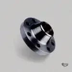 Weld Neck Flange WEBP